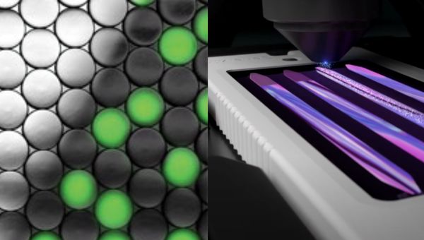 Image20260109-dpcr-ngs